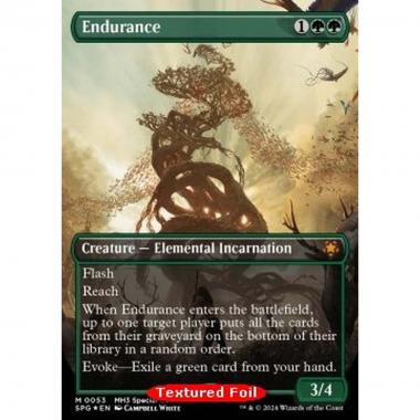 Endurance (V.2) - Endurance (V.2) - [SPG] [NM] [Foil]