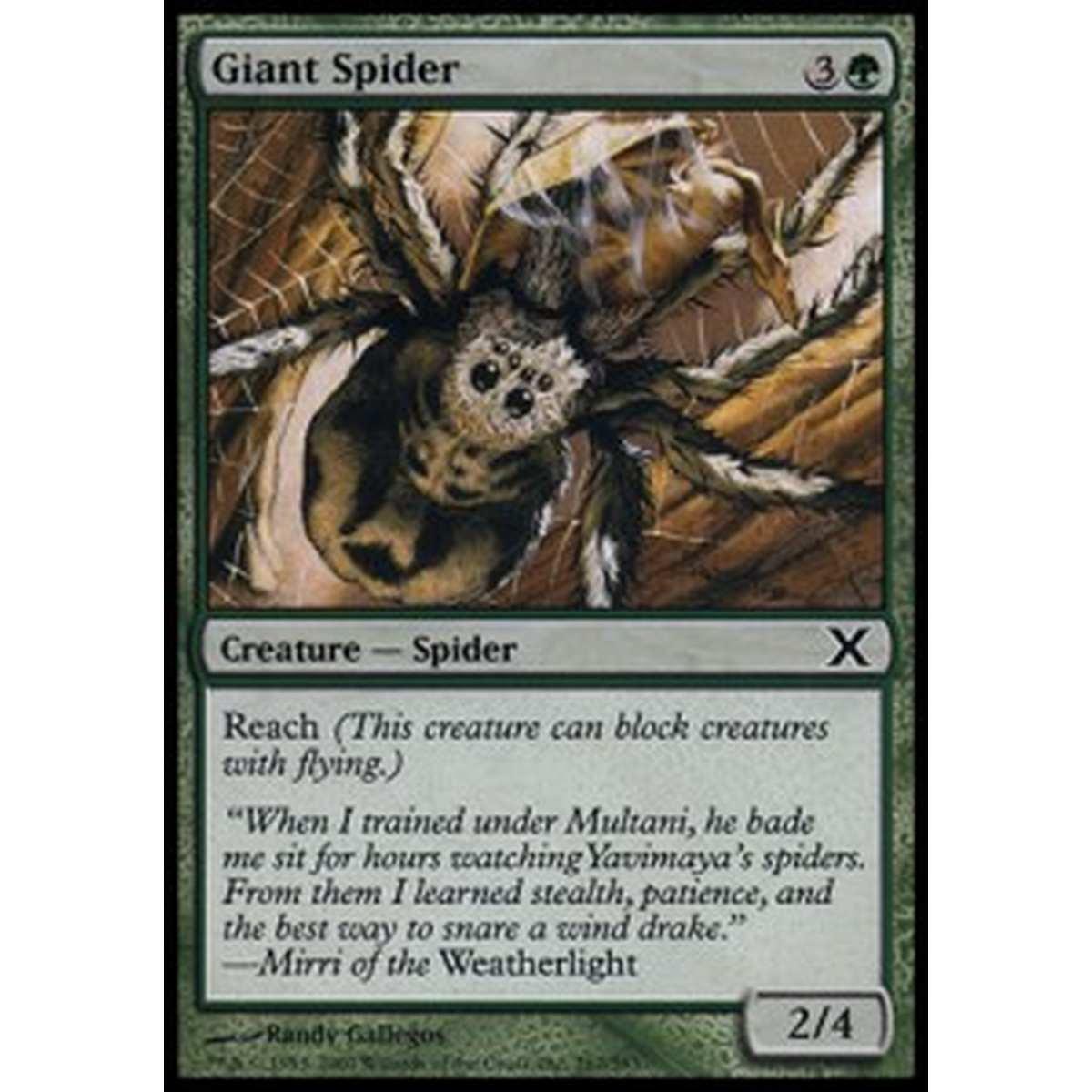 Giant Spider - Ragno Gigante - [10E] [NM]