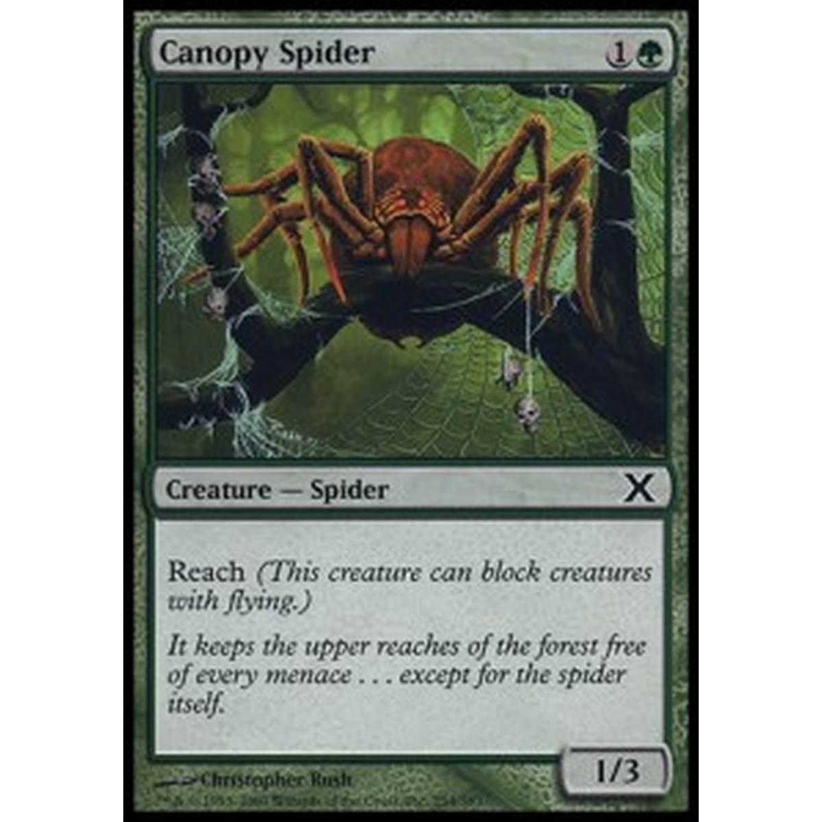 Canopy Spider - Ragno delle Fronde - [10E] [NM]