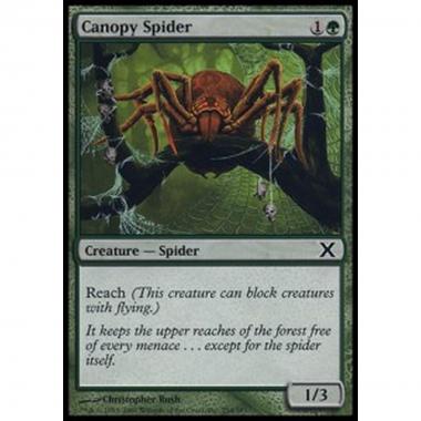 Canopy Spider - Ragno delle Fronde - [10E] [NM]