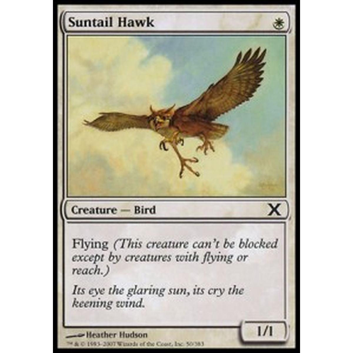 Suntail Hawk - Falco Astrocoda - [10E] [NM]