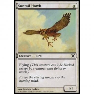Suntail Hawk - Falco Astrocoda - [10E] [NM]