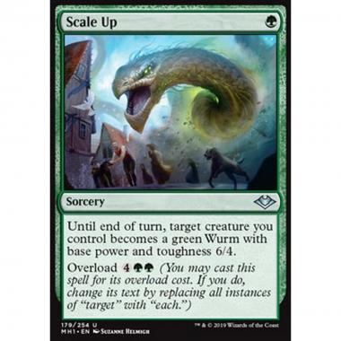 Scale Up - Scale Up - [MH1] [NM]