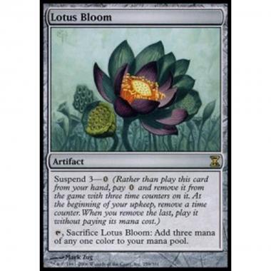 Lotus Bloom - Lotus Bloom - [TSP] [EX]