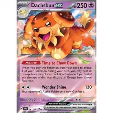 Dachsbun ex  - Dachsbun ex  - [SCR] [NM]