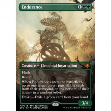Endurance (V.1) - Endurance (V.1) - [SPG] [NM] [Foil]