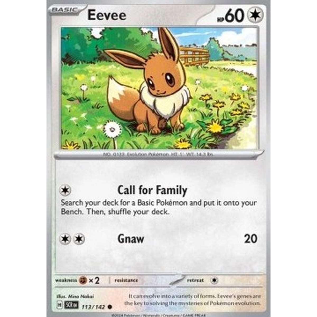 Eevee  - Eevee  - [SCR] [NM]