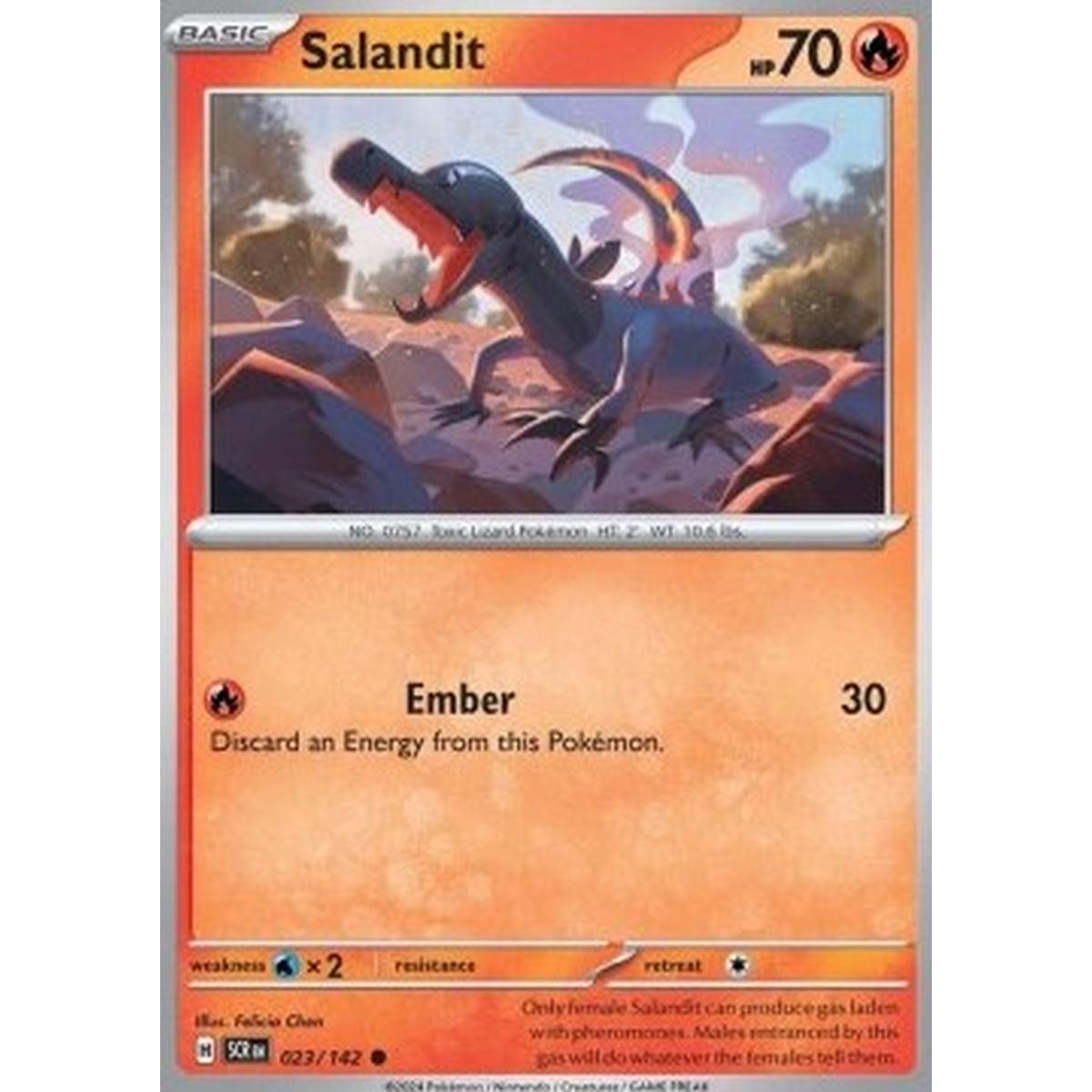 Salandit  - Salandit  - [SCR] [NM]