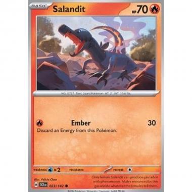 Salandit  - Salandit  - [SCR] [NM]