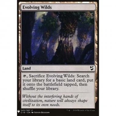 Evolving Wilds - Evolving Wilds - [MYS] [NM]