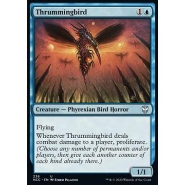 Thrummingbird - Thrummingbird - [NCC] [NM]