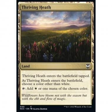 Thriving Heath - Thriving Heath - [NCC] [NM]