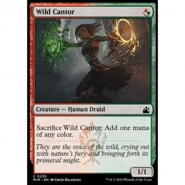 Wild Cantor - Wild Cantor - [RVR] [NM]