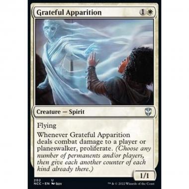 Grateful Apparition - Grateful Apparition - [NCC] [NM]