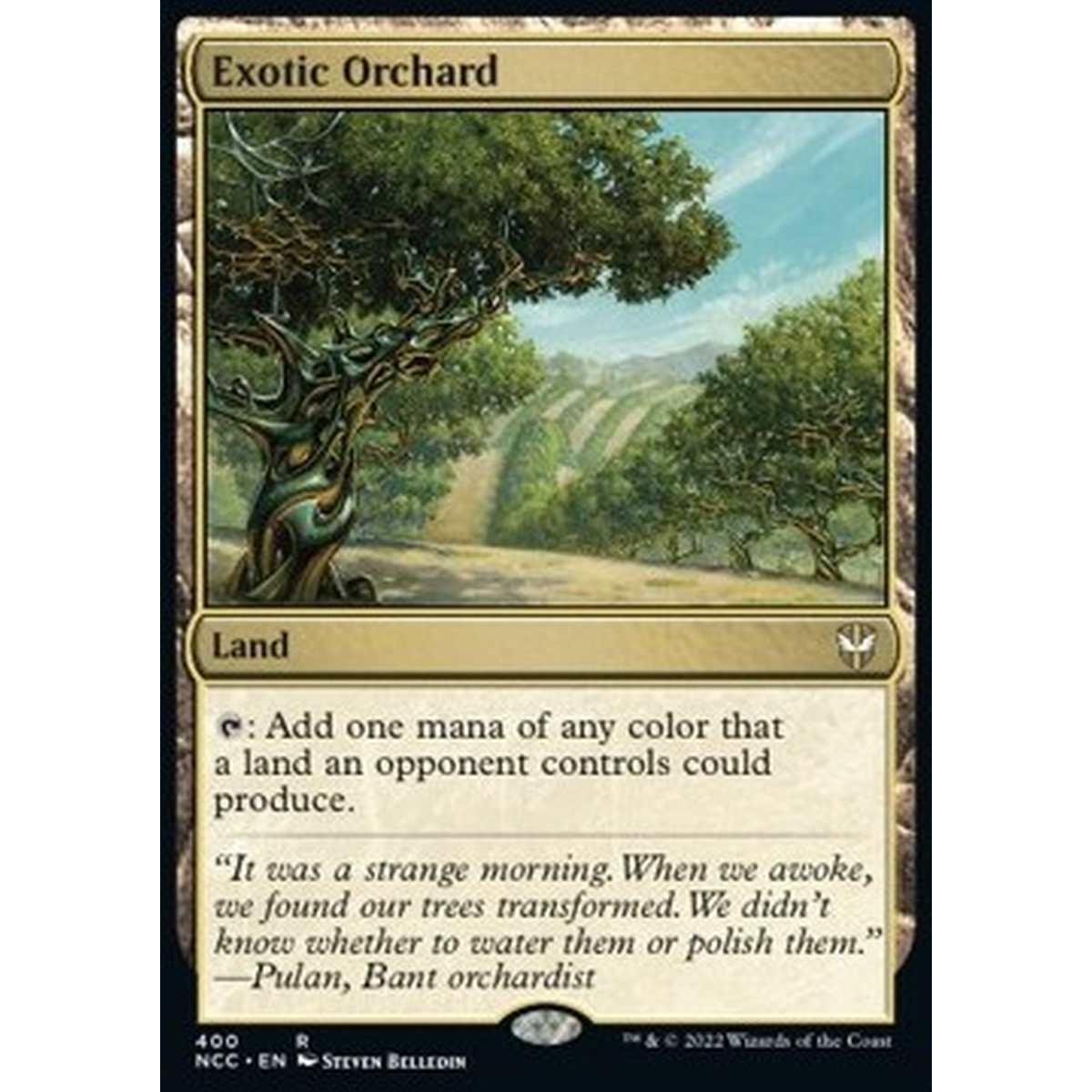 Exotic Orchard - Exotic Orchard - [NCC] [NM]