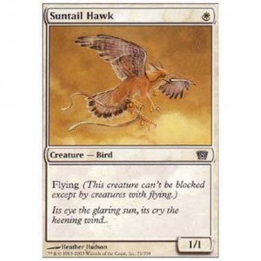 Suntail Hawk - Suntail Hawk - [8ED] [NM]