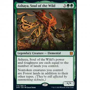 Ashaya, Soul of the Wild - Ashaya, Soul of the Wild - [ZNR] [NM]