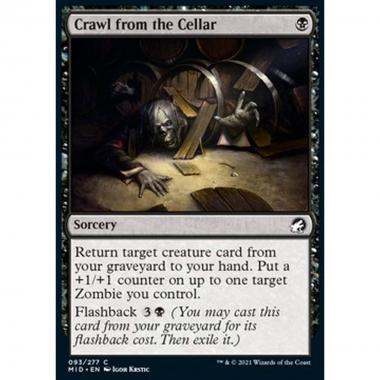 Crawl from the Cellar - Strisciare dalla Cantina - [MID] [NM]