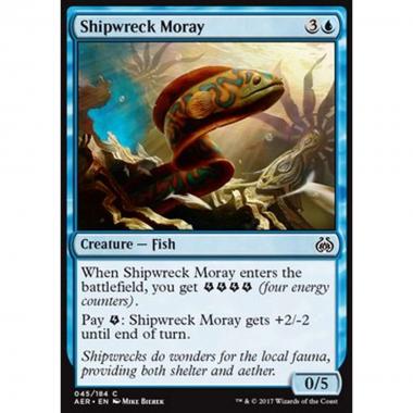 Shipwreck Moray - Murena dei Relitti - [AER] [NM]