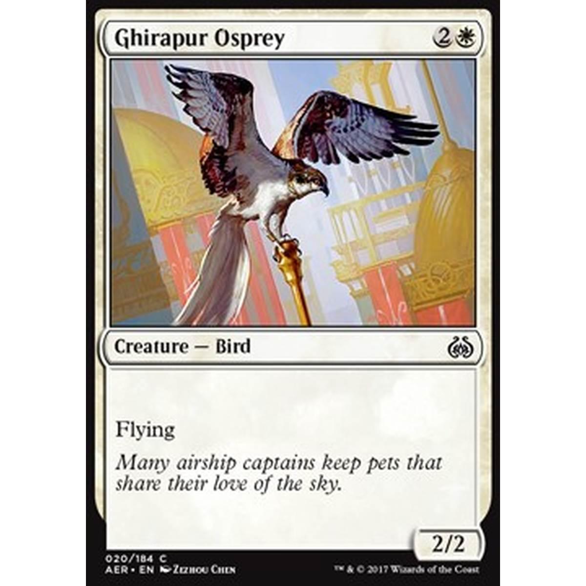 Ghirapur Osprey - Falco Pescatore di Ghirapur - [AER] [NM]