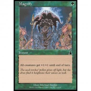 Magnify - Magnify - [UDS] [EX]