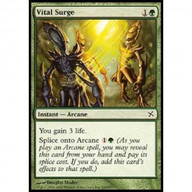 Vital Surge - Vital Surge - [BOK] [NM]
