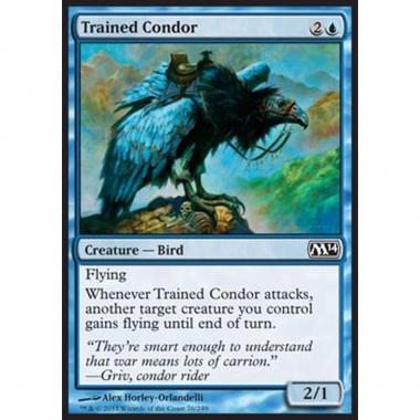 Trained Condor - Condor Addestrato - [M14] [NM]
