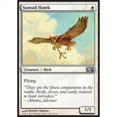 Suntail Hawk - Falco Astrocoda - [M14] [NM]