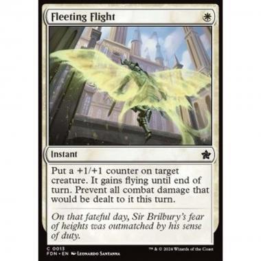 Fleeting Flight - Fleeting Flight - [FDN] [NM]