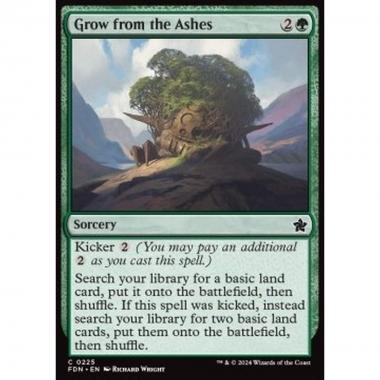 Grow from the Ashes - Grow from the Ashes - [FDN] [NM]