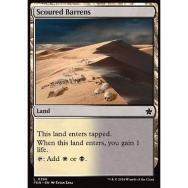 Scoured Barrens - Scoured Barrens - [FDN] [NM]