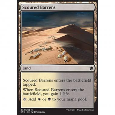Scoured Barrens - Distese Desolate - [KTK] [NM]
