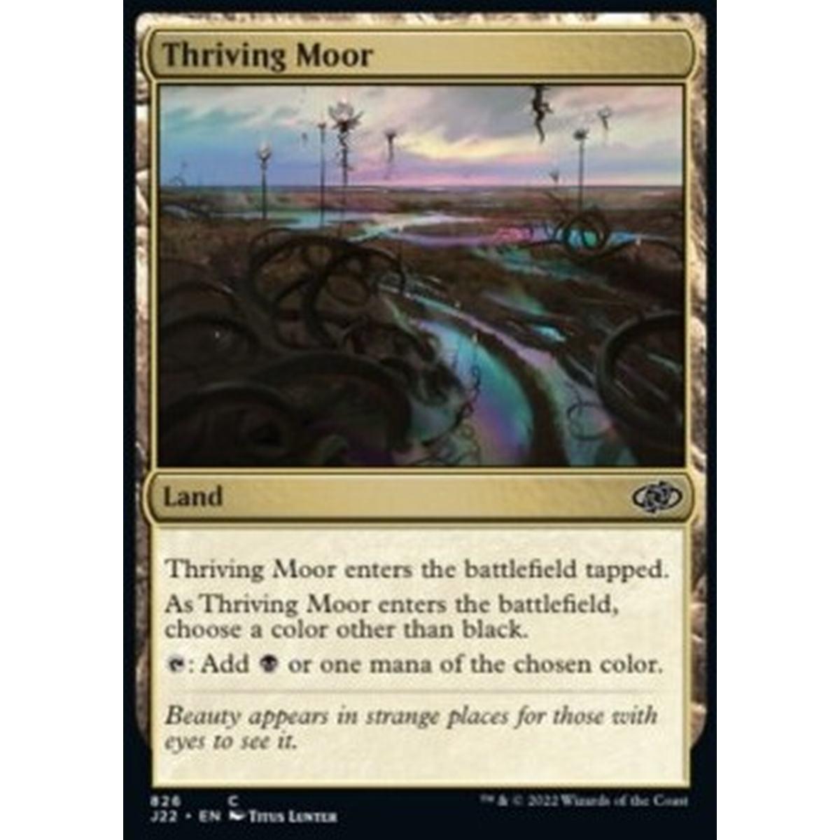 Thriving Moor - Thriving Moor - [J22] [NM]