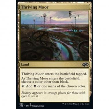 Thriving Moor - Thriving Moor - [J22] [NM]