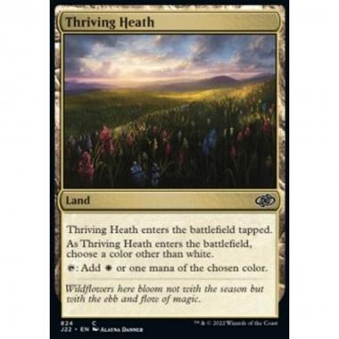 Thriving Heath - Thriving Heath - [J22] [NM]