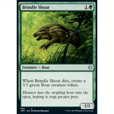 Brindle Shoat - Brindle Shoat - [JMP] [NM]