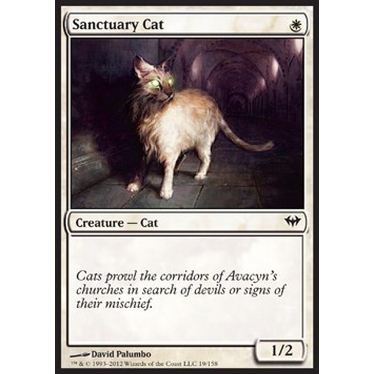 Sanctuary Cat - Gatto del Santuario - [DKA] [NM]