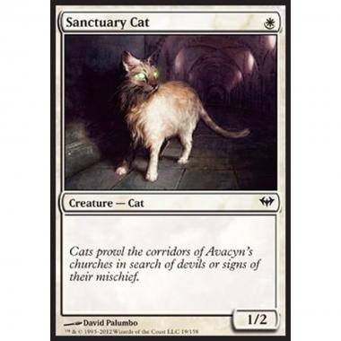 Sanctuary Cat - Gatto del Santuario - [DKA] [NM]