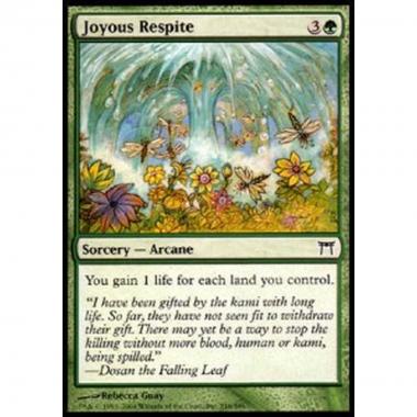 Joyous Respite - Joyous Respite - [CHK] [NM]