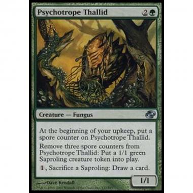 Psychotrope Thallid - Psychotrope Thallid - [PLC] [EX]