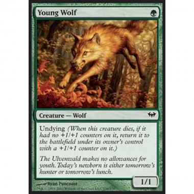 Young Wolf - Young Wolf - [DKA] [EX]