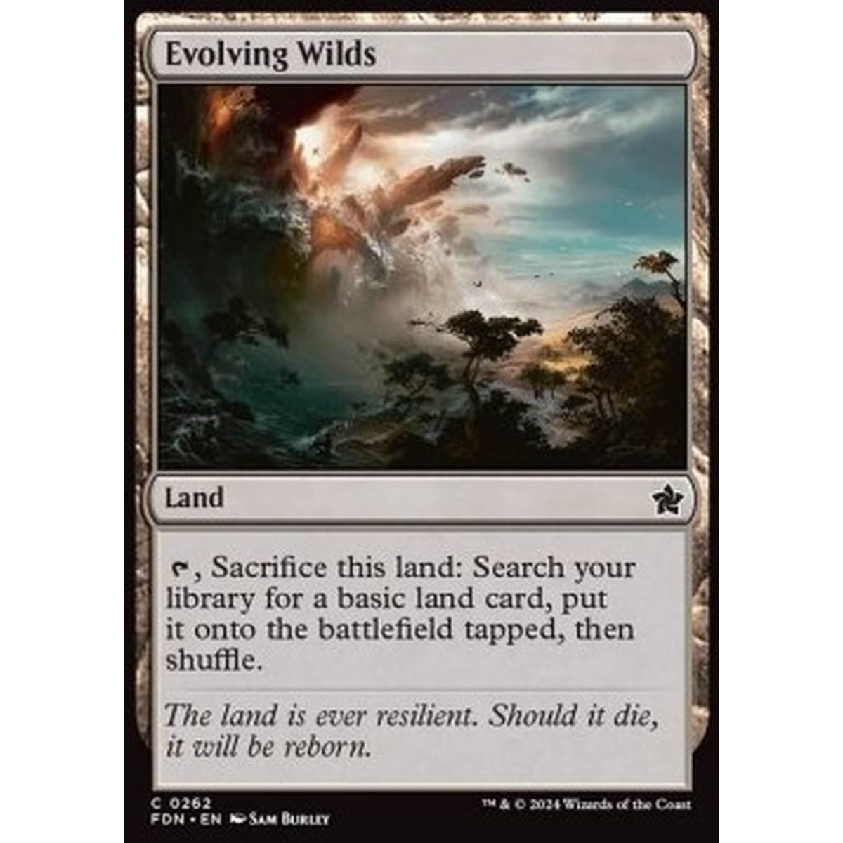Evolving Wilds - Evolving Wilds - [FDN] [NM]