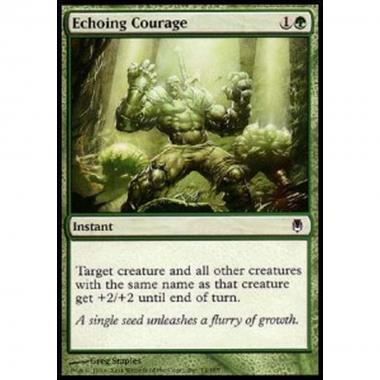 Echoing Courage - Echoing Courage - [DST] [EX]