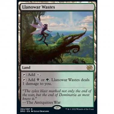 Llanowar Wastes - Llanowar Wastes - [BRO] [NM]