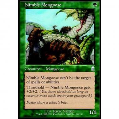 Nimble Mongoose - Mangusta Agile - [ODY] [LP]
