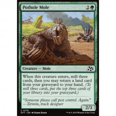 Pothole Mole - Pothole Mole - [DFT] [NM]