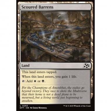 Scoured Barrens - Scoured Barrens - [DFT] [NM]