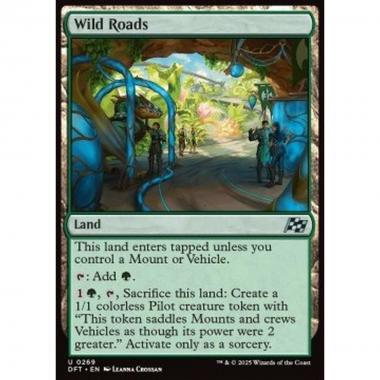 Wild Roads - Wild Roads - [DFT] [NM]