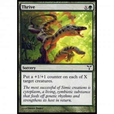 Thrive - Prosperare - [DIS] [NM]