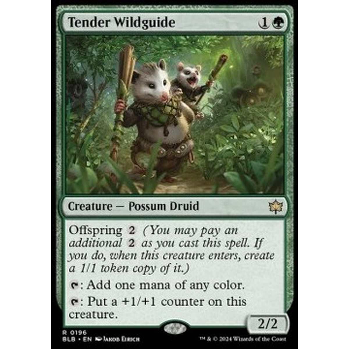Tender Wildguide - Tender Wildguide - [BLB] [NM]